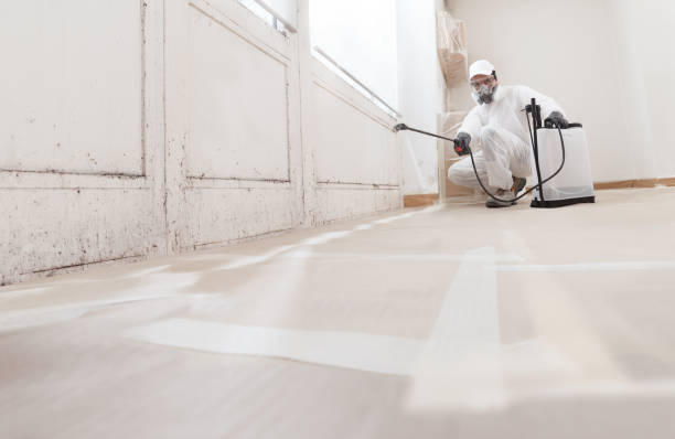 24/7 Emergency Mold Remediation experts in West Point, NY