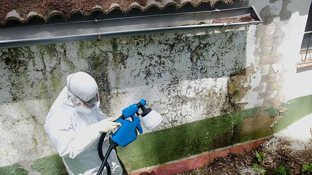 Top rated local Mold Remediation specialists in West Point, NY